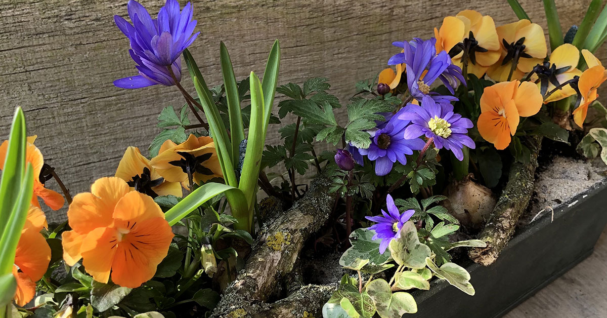 Markens Blomster - Workshop